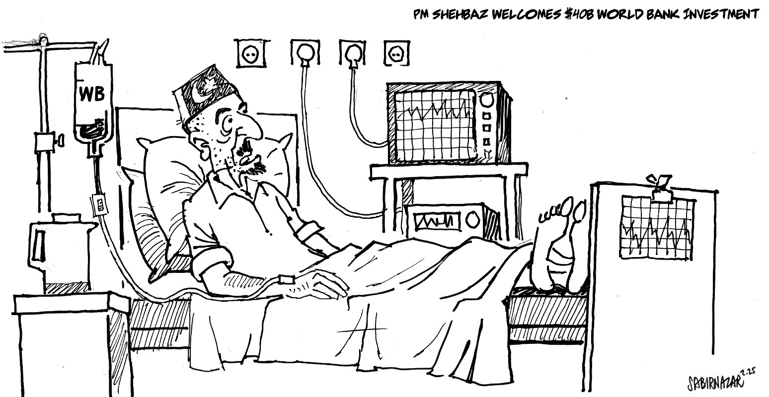 Updated Feb 20, 2025