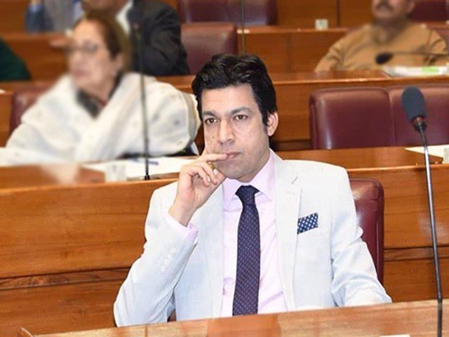 a file photo of faisal vawda in the national assembly photo file