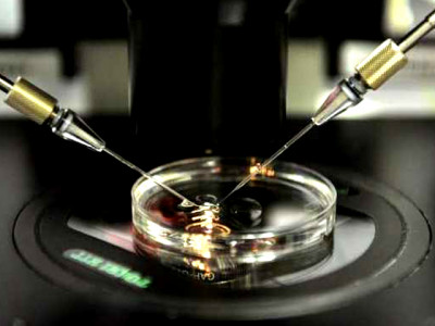 in vitro fertilisation don t choose a boy over a girl choose a baby