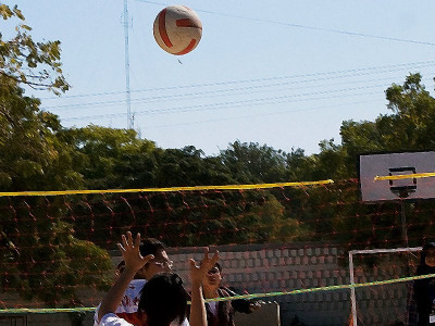 courses open on throwball