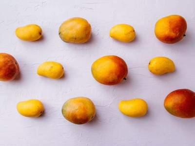 mangoes quench pakistan s summer brunt mangoes quench pakistan s summer brunt