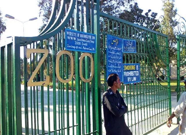 islamabad zoo entrance gate photo express islamabad zoo entrance gate photo express