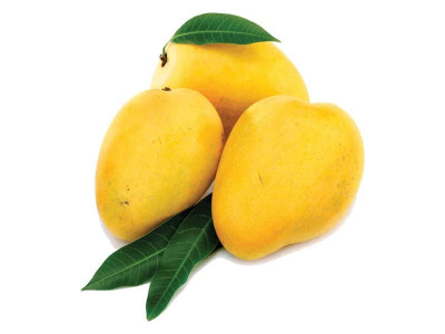 fourth mango festival kicks off in multan fourth mango festival kicks off in multan