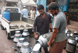 dairy farmers out to milch customers dry in sindh dairy farmers out to milch customers dry in sindh