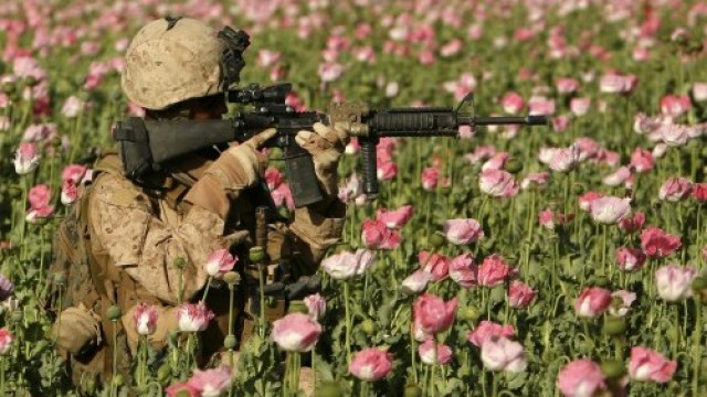 drug smuggling funding militants ghani drug smuggling funding militants ghani
