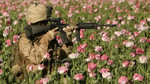 drug smuggling funding militants ghani drug smuggling funding militants ghani