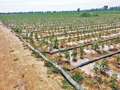 dry battle punjab lodges complaint against water losses in sindh