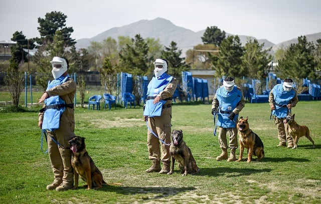 photo afp photo afp