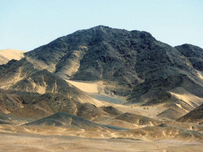 to avoid damages govt must go for settlement with tcc