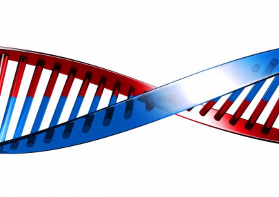 most pakistani doctors in us accept evolutionary theory survey most pakistani doctors in us accept evolutionary theory survey