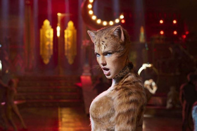 the new cats trailer is anything but purr fect the new cats trailer is anything but purr fect
