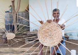 twig baskets becoming a cultural reminiscence