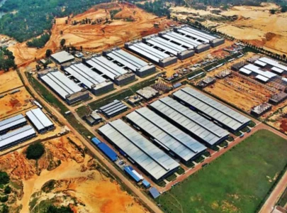 plan to set up pharma economic zone