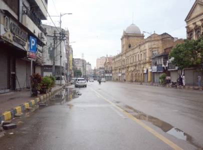 strike cripples hives of trade activity