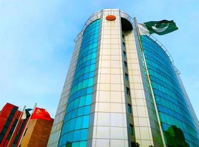 pine nut exports to china cross 18m