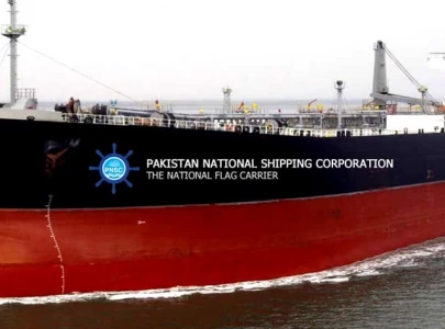 govt approves sale of 30 pnsc shares