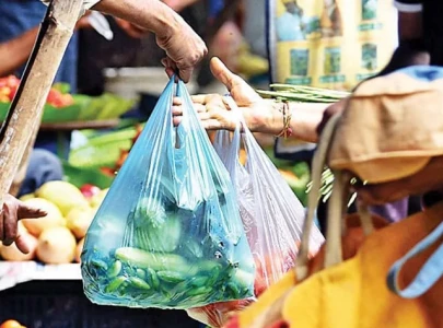 vendors violate plastic ban