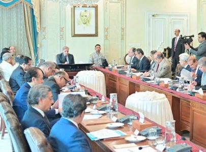 pakistan leads gsp gains faces reform test pakistan leads gsp gains faces reform test