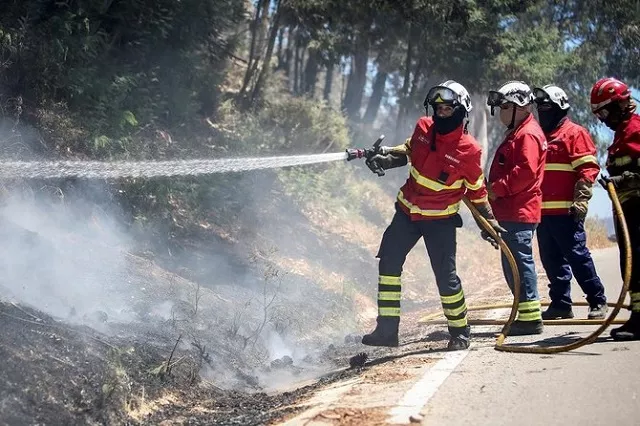 the firefighters were deployed to tackle three fires in the mountainous and heavily forested castelo branco region 200 kilometres north of lisbon photo afp the firefighters were deployed to tackle three fires in the mountainous and heavily forested castelo branco region 200 kilometres north of lisbon photo afp