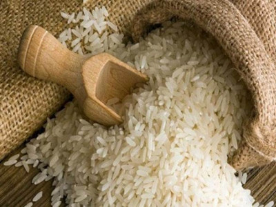 tackling emerging threat to rice in pakistan tackling emerging threat to rice in pakistan