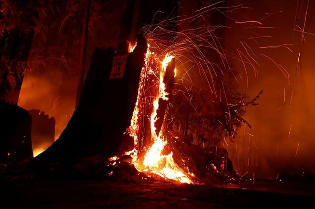 clerk attempts self immolation clerk attempts self immolation