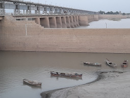 a delicacy on the brink