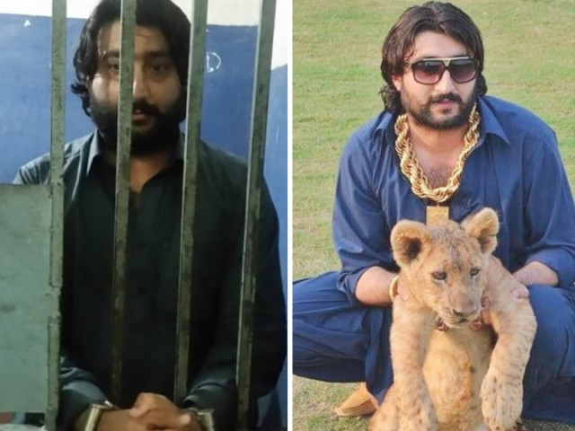 zafar supari photo file zafar supari photo file