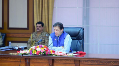 cabinet gives nod to dual national pakistanis to contest elections cabinet gives nod to dual national pakistanis to contest elections