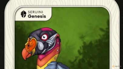 how to save the amazon brazil company says nfts are the answer how to save the amazon brazil company says nfts are the answer