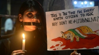 indian villagers beat tigress to death after attacks indian villagers beat tigress to death after attacks