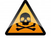 boy held for seeking ai help to poison father