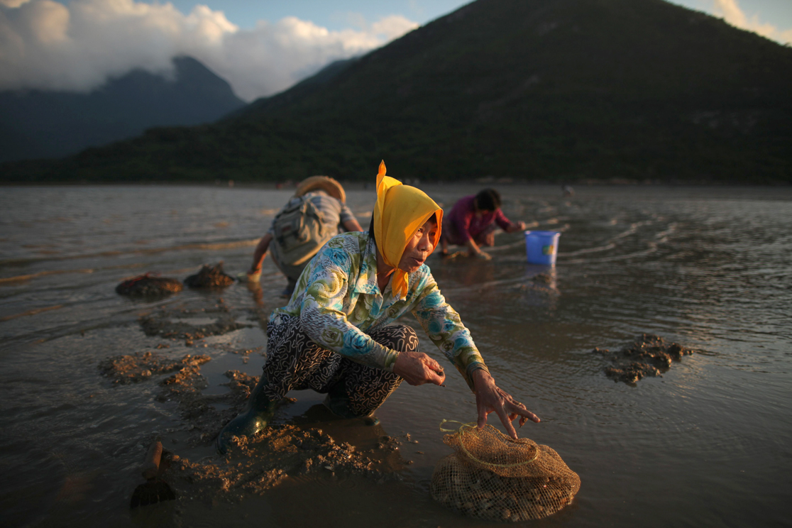 Updated Jul 05, 2011