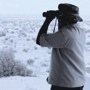 the conservator one man s struggle to protect sindh s wildlife the conservator one man s struggle to protect sindh s wildlife