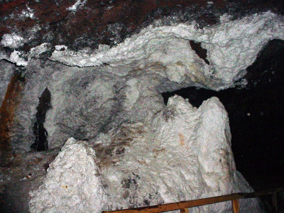 pakistan has not developed its salt as a brand panel told pakistan has not developed its salt as a brand panel told