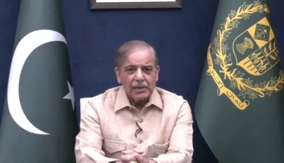 prime minister shehbaz sharif addressing nation on sunday in islamabad photo screenshot