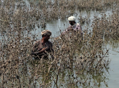 when the sun kills and the rivers rise when the sun kills and the rivers rise