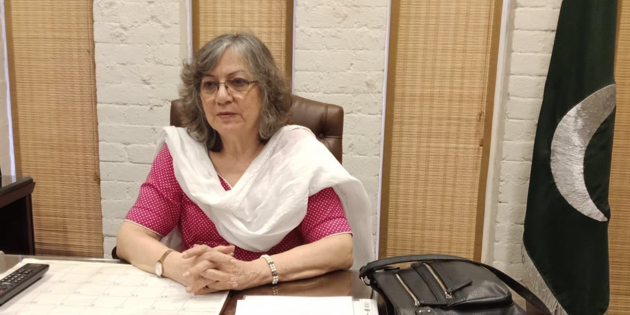 muneeza hashmi appointed first woman chairperson of lahore arts council