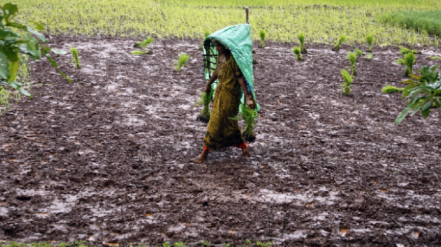 more than 4 500 young women in beed are believed to have undergone early and possibly unnecessary hysterectomies photo reuters more than 4 500 young women in beed are believed to have undergone early and possibly unnecessary hysterectomies photo reuters