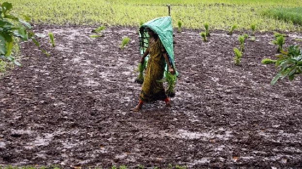 more than 4 500 young women in beed are believed to have undergone early and possibly unnecessary hysterectomies photo reuters more than 4 500 young women in beed are believed to have undergone early and possibly unnecessary hysterectomies photo reuters
