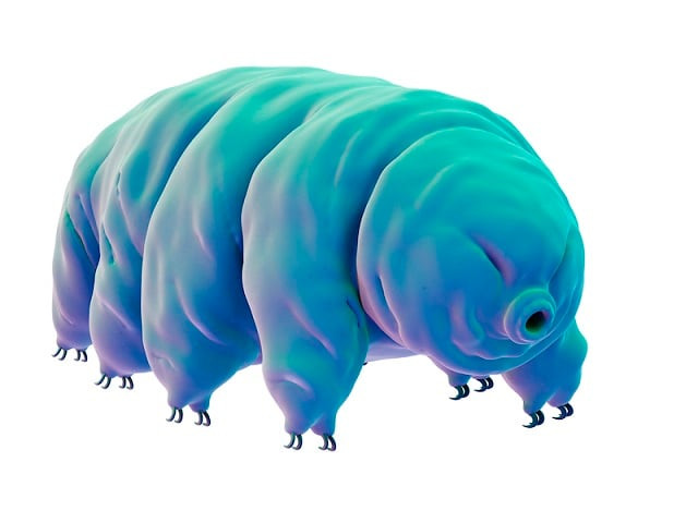 tardigrades as the water bears are more prosaically known have long fascinated scientists with their veritable superpowers of survival photo afp tardigrades as the water bears are more prosaically known have long fascinated scientists with their veritable superpowers of survival photo afp