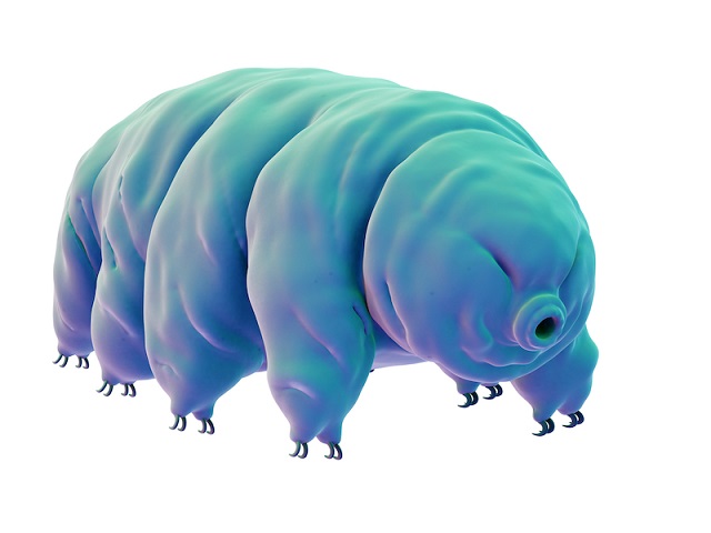 tardigrades as the water bears are more prosaically known have long fascinated scientists with their veritable superpowers of survival photo afp