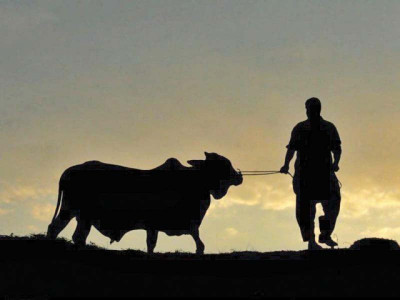 home dept bans sheesha uavs for eidul azha home dept bans sheesha uavs for eidul azha