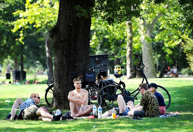 people cool off underneath a tree during a sunny day in the vondelpark in amsterdam the netherlands photo reuters file