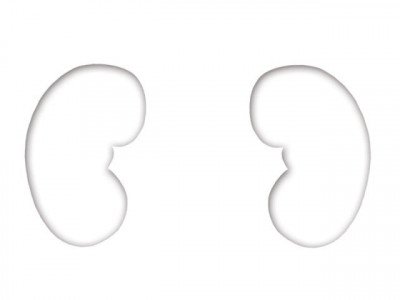 illegal kidney transplant court extends physical remand by 3 days