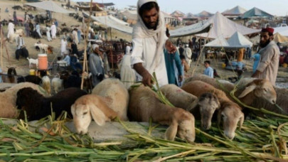afghans prepare for eid hope for peace
