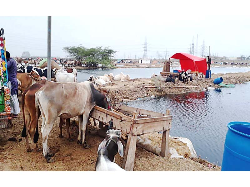 though the authorities have managed to drain the rainwater out of 43 blocks some rainwater still remains stagnant and the situation is likely to worsen again because the pmd has predicted heavy rainfall in the city beginning today photo express