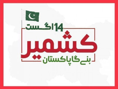 in solidarity with kashmiris national logo for independence day launched