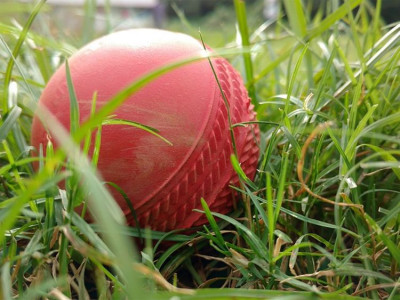 club in england introduces vegan cricket ball