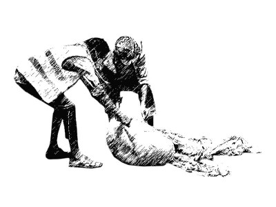 over 8 500 tonnes of offal lifted from pindi streets over 8 500 tonnes of offal lifted from pindi streets