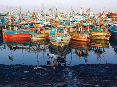 rains bring glad tidings for fishermen